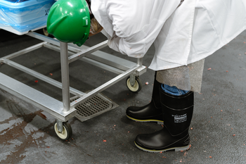 89908 Dunlop Polyflex 3 Steel Toe - Black/Grey